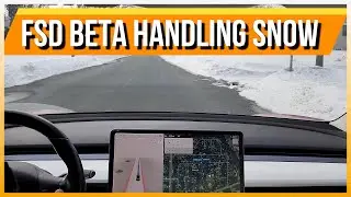 FSD Beta Handling Snow Easily!