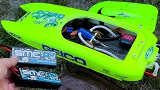 Stock Motor On 4s, Did it Survive? Proboat Miss Geico 24 Upgraded Flycolor 90a Esc