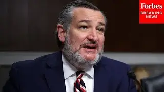 Ted Cruz Leads Senate Commerce Committee Hearing On 'Media Ownership In The Digital Age'