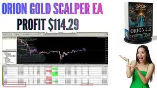 Forex Robot Orion Gold EA Review | Earn $114.29 Profit Fast | Live Trading Proof 2025