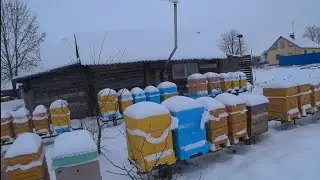 Стоит ли развивать промышленную пасеку ?!