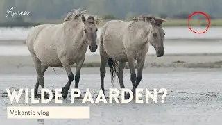 WILDE PAARDEN ? #vakantievlog 2 🐴