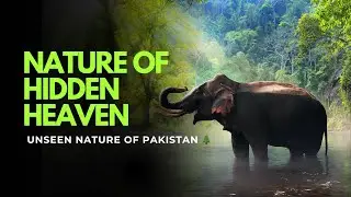 Exploring the Hidden Beauty of Pakistan&rsquo;s Northern Areas 🌲✨| Paradise of Pakistan|Hidden Heaven