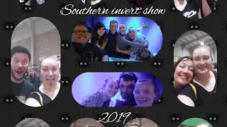 Southern Invert Show 2019