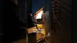 Sweet Caroline - Neil Diamond - Orgel