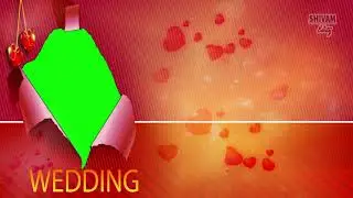 SE32-Green screen free wedding background video for edit in edius FCP Adobe premiere//Shivam Editz