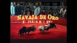 Navaja de oro(el plebe del sur ( Albert Duarte