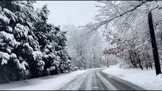 Driving in Snow Stock Footage and Sound Effects | Snowy Country Road | Snow Covered Trees | FREE USE