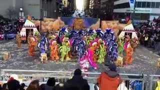 Woodland String Band 2015- 