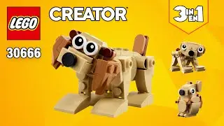 LEGO&reg; Creator 3in1 Gift Animals (30666)[75 pcs] Bear & Squirrel | Instructions @TopBrickBuilder