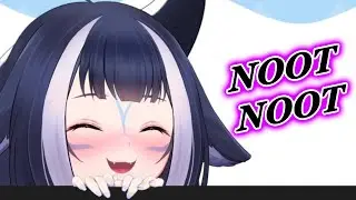 NOOT NOOT!!!