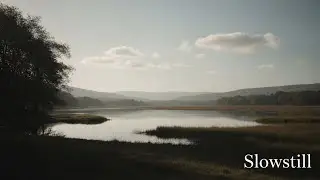 Slowstill – 1 Hour of Calm Piano for Gentle Focus & Emotional Ease