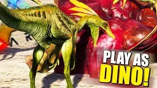 Play As Jurassic COMPY Living Inside A Fallen Dinosaur! Play As Dino Gameplay - Ark Survival Evolved
