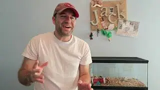 Midwest Arcade Hamster Review for Teddy Bear Syrian Hamster Vs. Basic 20 Gallon Aquarium