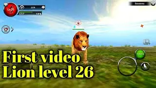 My First Video - Lion Lvl 26 - Wild Animals Online