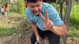 Digging turmeric  video #vlog #trending #subscribers 