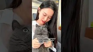 Beginilah reaksi Kucing ketika melihat orang kembar