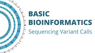 Basic Bioinformatics: How to Save and Export Sequencing Variant Calls
