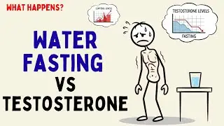 What Happens to Testosterone When Men Use Water Fasting (Science Explained)