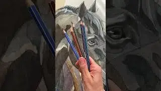 Friesian horse portrait watercolor and ink drawing #horseportrait #horseart #watercolor #inkdrawing