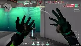 Viper ULT + Judge