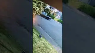 Vandalized Trump Sign in Yard