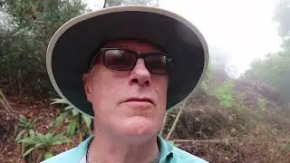 Global Climate Emergency