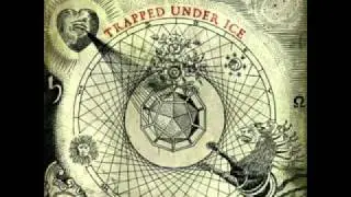 Trapped Under Ice - Too True (Lyrics)