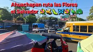 Ojitos bellos de el Salvador está en vivo