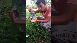 BAHAYA BUNGA TELANG #SHORTS