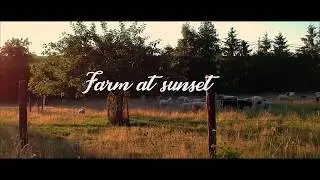 Farm at sunset - Cinematic drone footage