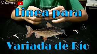 Linea para variada de Rio