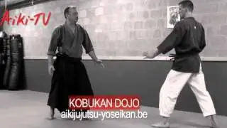 ushiro kata otoshi on omote yokomen uchi