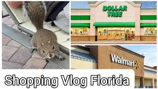 Dollar tree, Walmart shopping vlog #florida #shopping #america #holidayvlog #orlando #walmart 