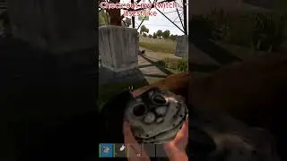 WHEN YOU LET THE WOLVES OF RUST KNOW YOUR THE ALPHA  #fps #rust #rustclips #rustgameplay #gameplay
