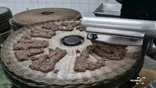 Olive oil campaign: the first oil mills open