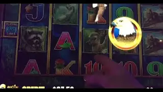 LIVE PLAY on Birds of Pay - Extra Wilds Bonus Slot Machine