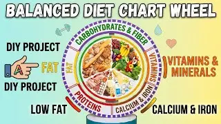 Balanced Diet Chart model for school project | balanced diet working wheel model | nutrition wheel