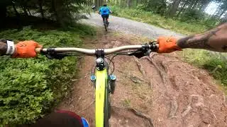 Einfach rollen lassen!  Enduro Trail am Kornberg im Fichtelgebirge
