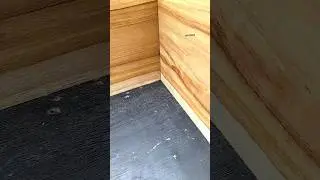 how to measure the corner cuts of wood #woodworking #tips #diy