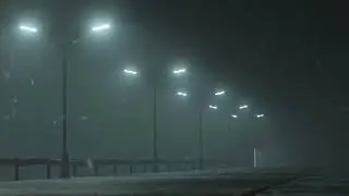 SilentWoods - december 