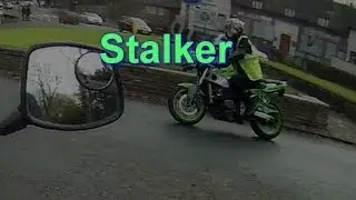 Stalker     video reply