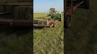 Small Square Baling!