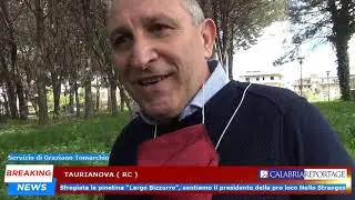 Taurianova: sfregiata la pinetina &ldquo;Largo Bizzurro&rdquo;, sentiamo Nello Stranges.