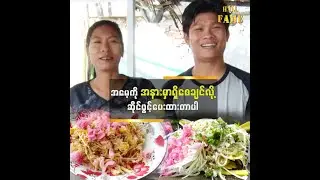 ဇာတိက ပြည်ကပါ။