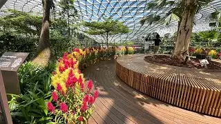 The Rain Vortex waterfall, Jewel Changi Episode 4: Shopping at Tong Garden exotic dry nuts