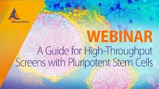 A Guide for High-Throughput Screens with Pluripotent Stem Cells [WEBINAR]