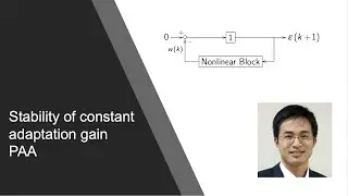 Stability of constant adaptation gain PAA