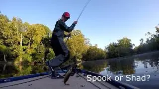 Bass Fishing Griggs and OShaughnessy on The Scioto River
