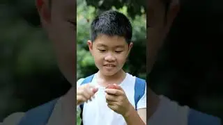 LYCHEE NUTRITIONAL INFORMATION